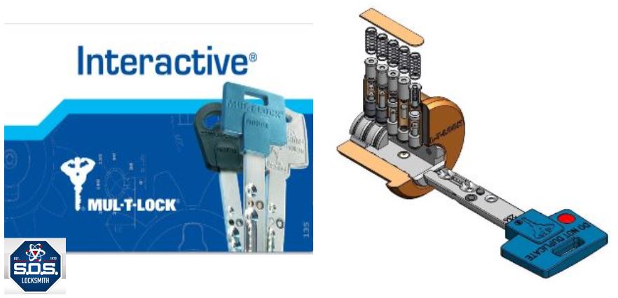 interactive 3